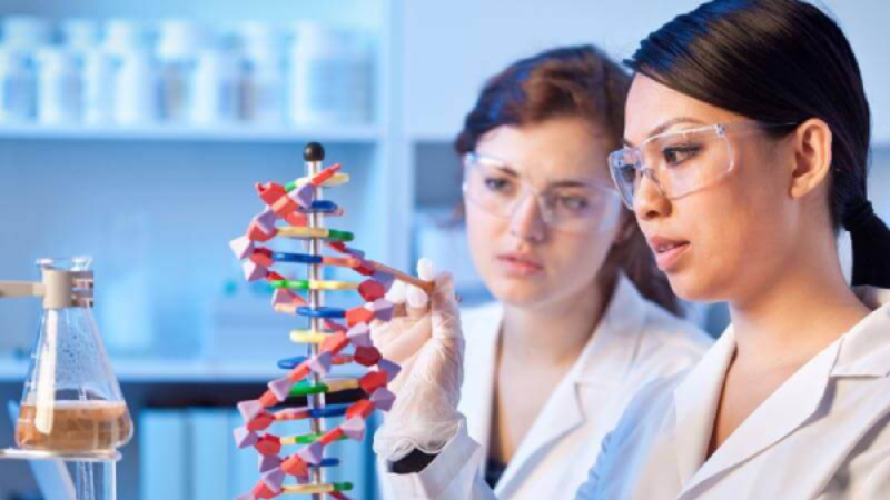 Com a demanda por talentos de STEM em alta, aumentar a participação feminina é mais crítico do que nunca na América Latina Image