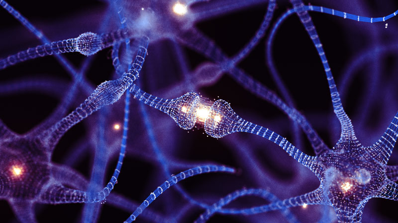 AI imperatives image