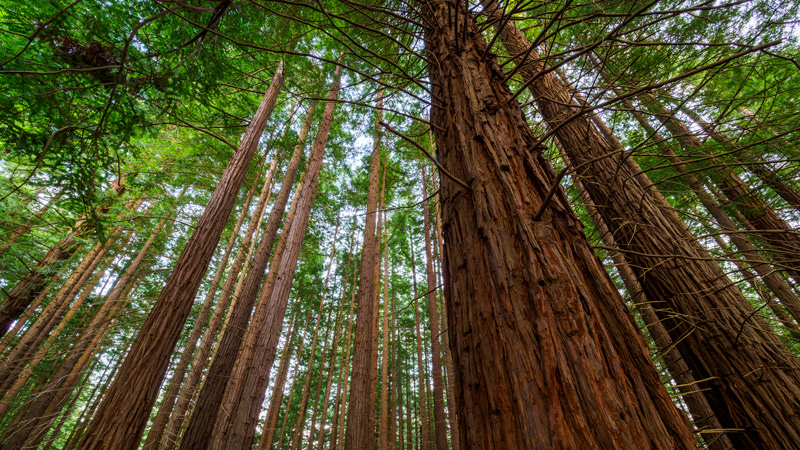 Vertiv issues 2023 responsible business report, providing updates on environmental impact and governance efforts and introducing ‘One Vertiv, One World’ plan Image