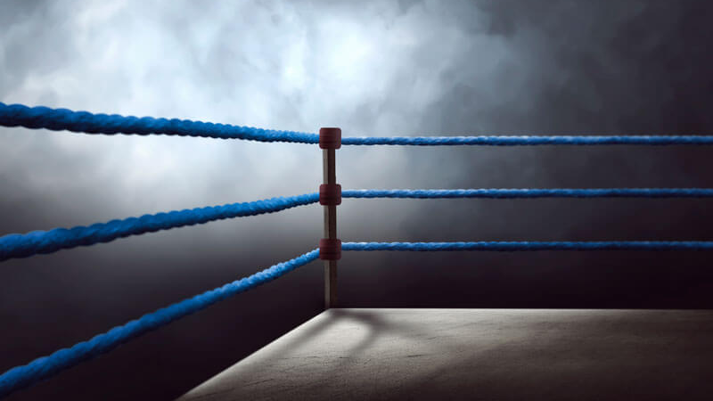 Must-Read Research: The Digital Resilience  Rope-a-Dope Image